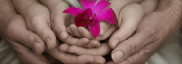 Best Naturopath Kitchener Waterloo Best Naturopath Kitchener Waterloo